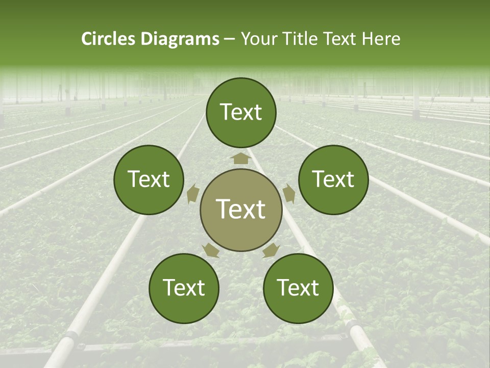 Glasshouse Plant Rows PowerPoint Template