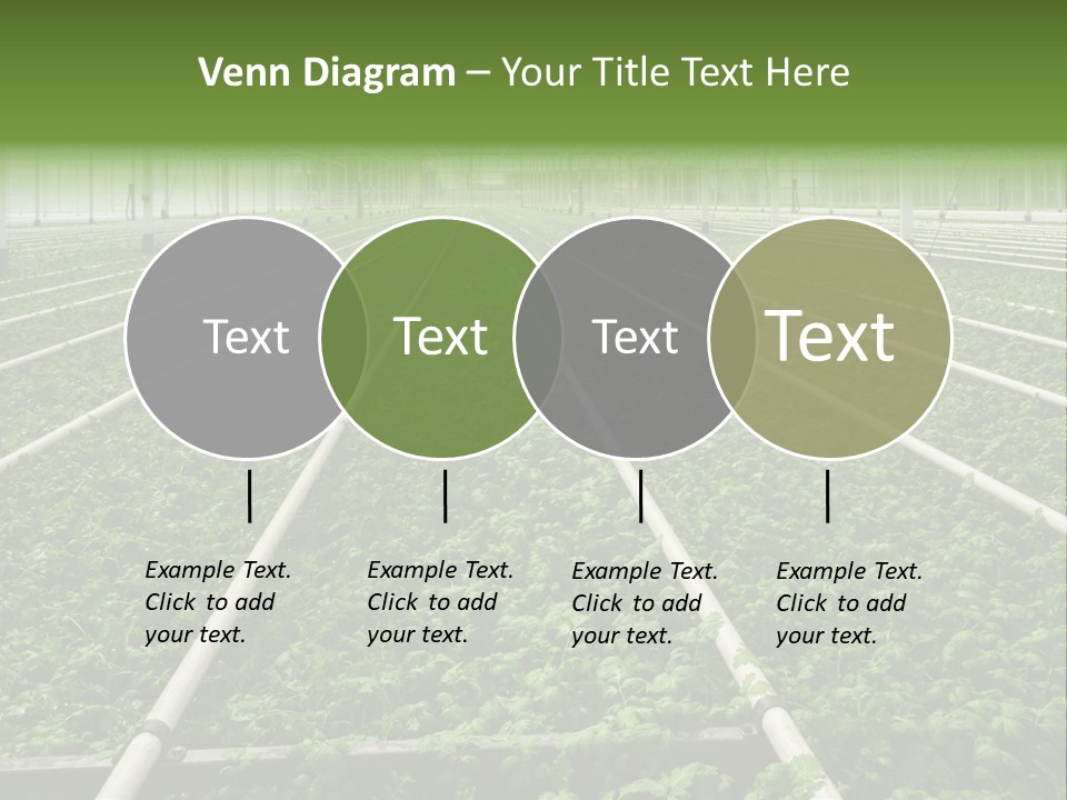 Glasshouse Plant Rows PowerPoint Template