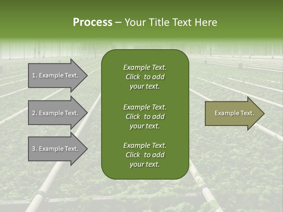 Glasshouse Plant Rows PowerPoint Template