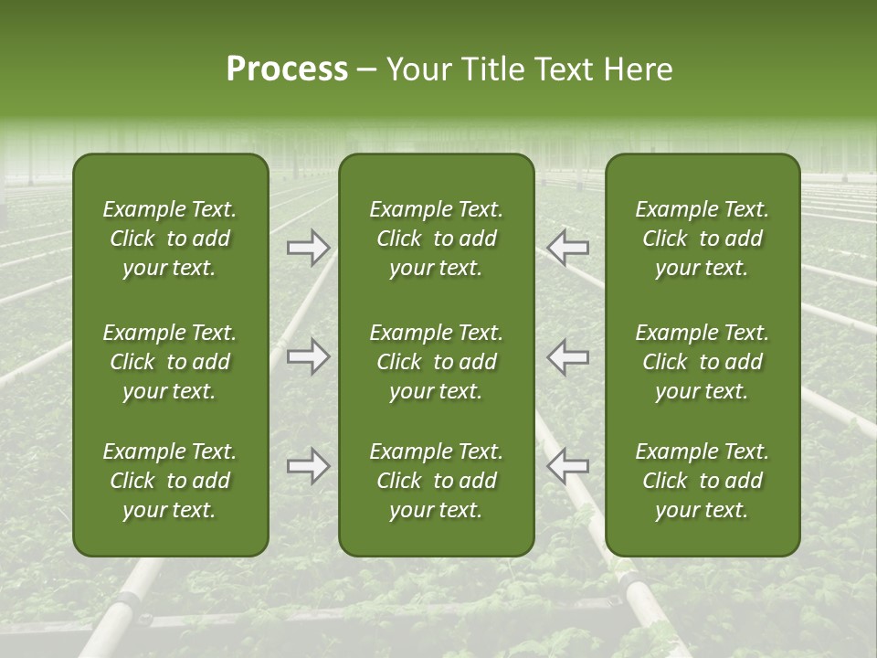 Glasshouse Plant Rows PowerPoint Template
