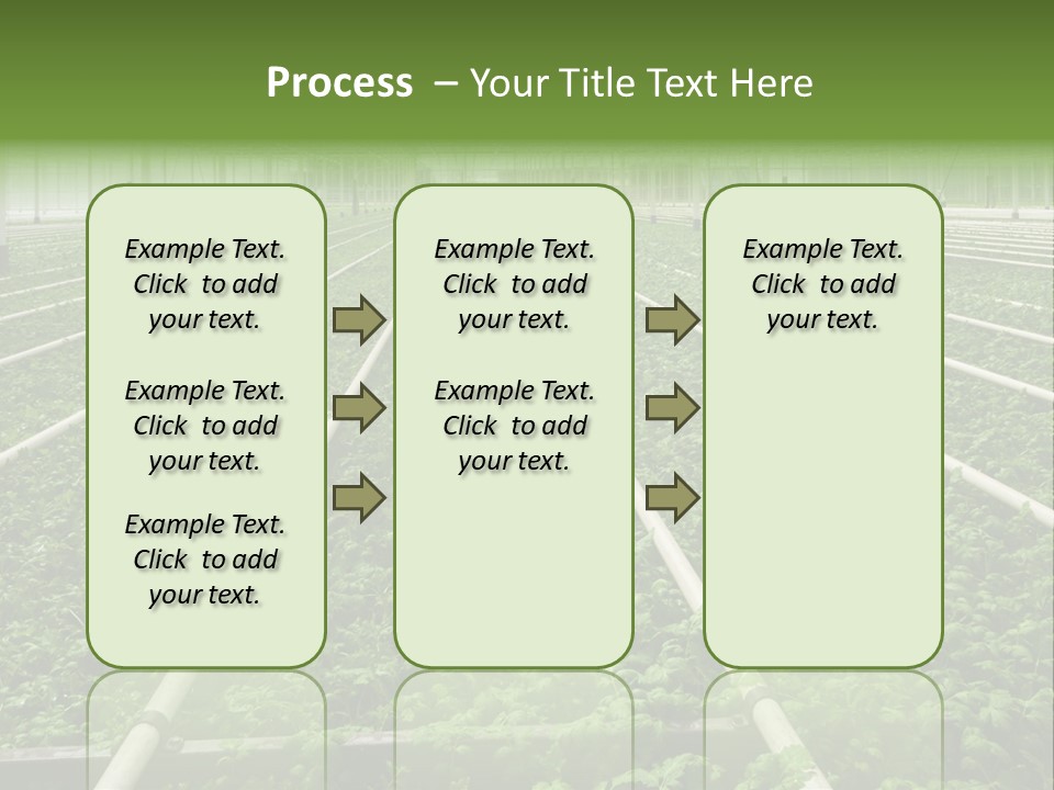 Glasshouse Plant Rows PowerPoint Template