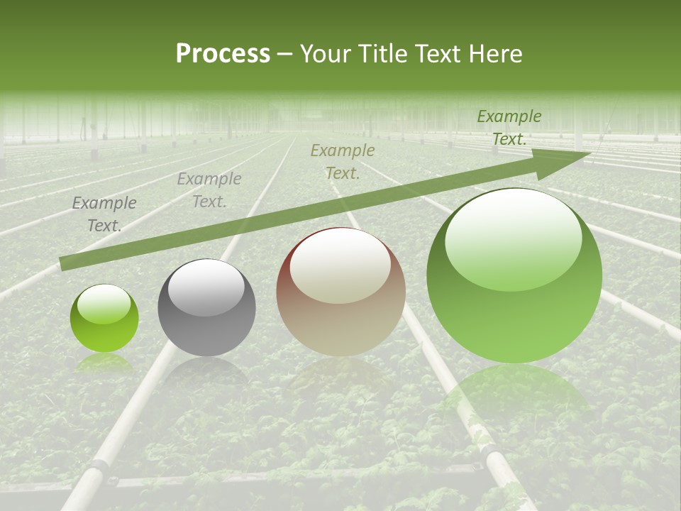 Glasshouse Plant Rows PowerPoint Template