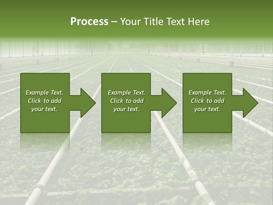 Glasshouse Plant Rows PowerPoint Template