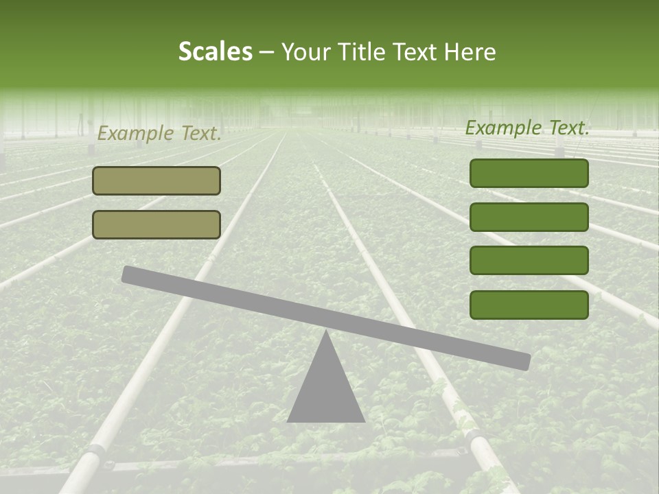 Glasshouse Plant Rows PowerPoint Template