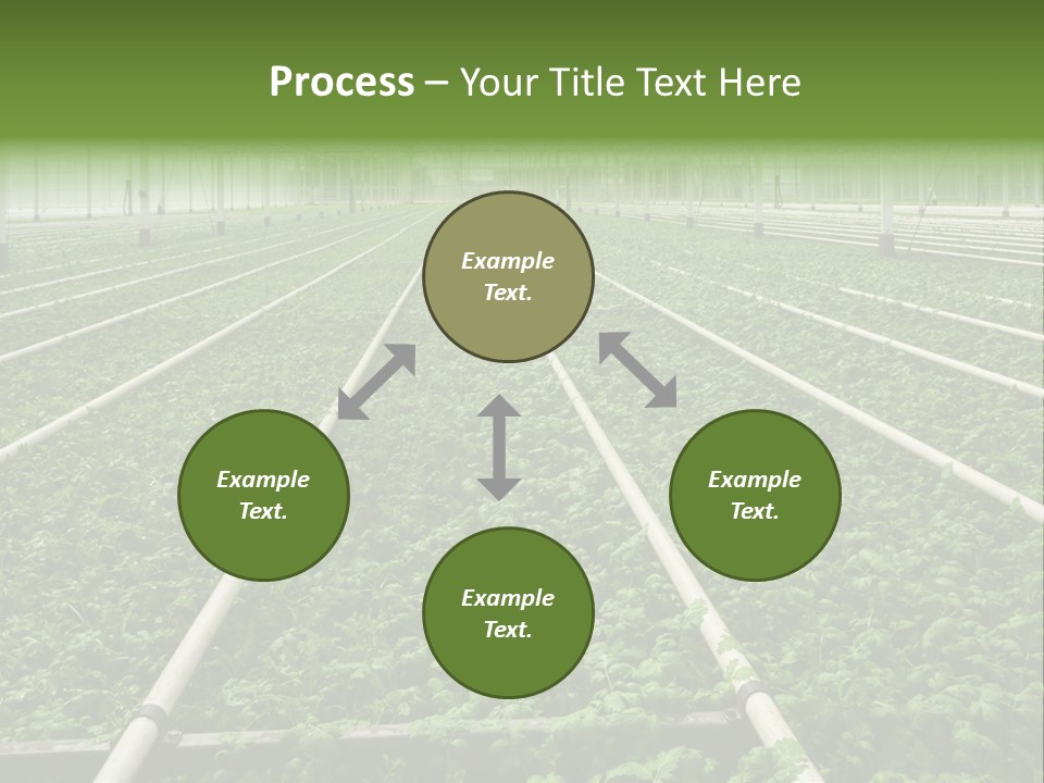 Glasshouse Plant Rows PowerPoint Template