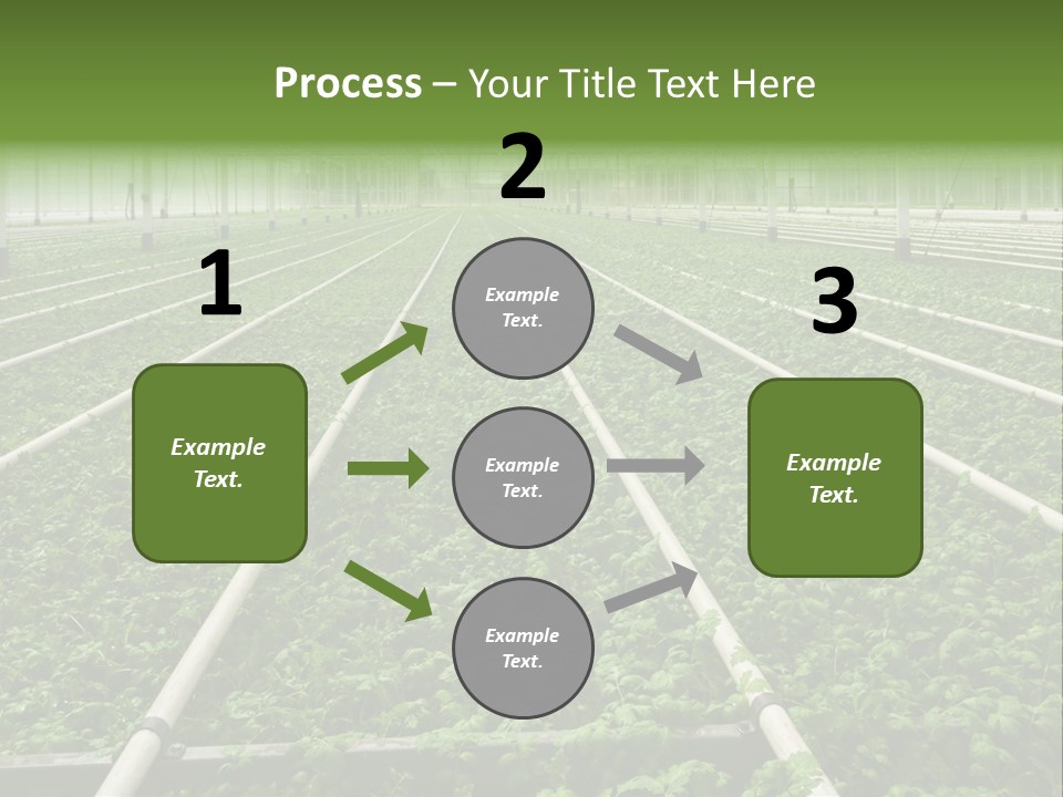 Glasshouse Plant Rows PowerPoint Template
