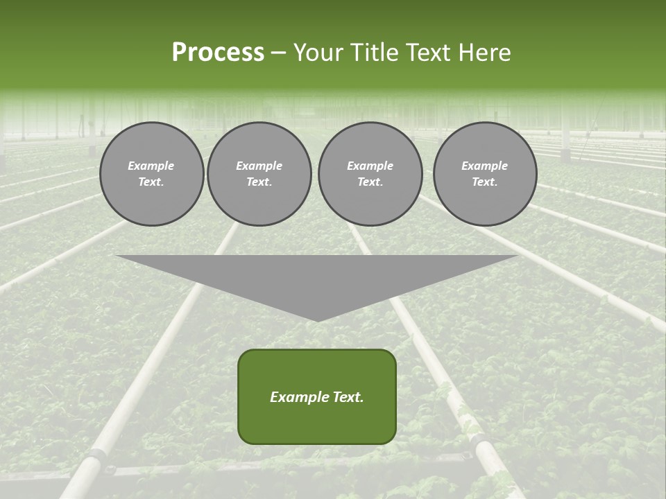 Glasshouse Plant Rows PowerPoint Template