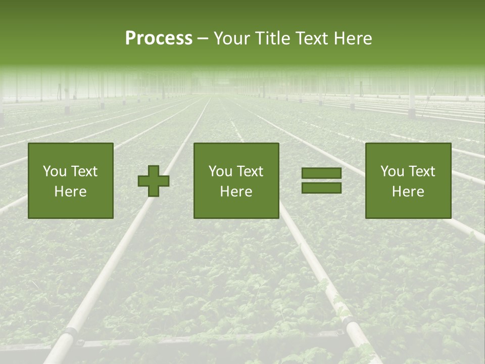 Glasshouse Plant Rows PowerPoint Template