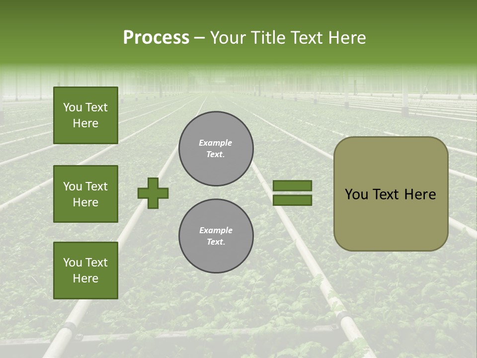 Glasshouse Plant Rows PowerPoint Template