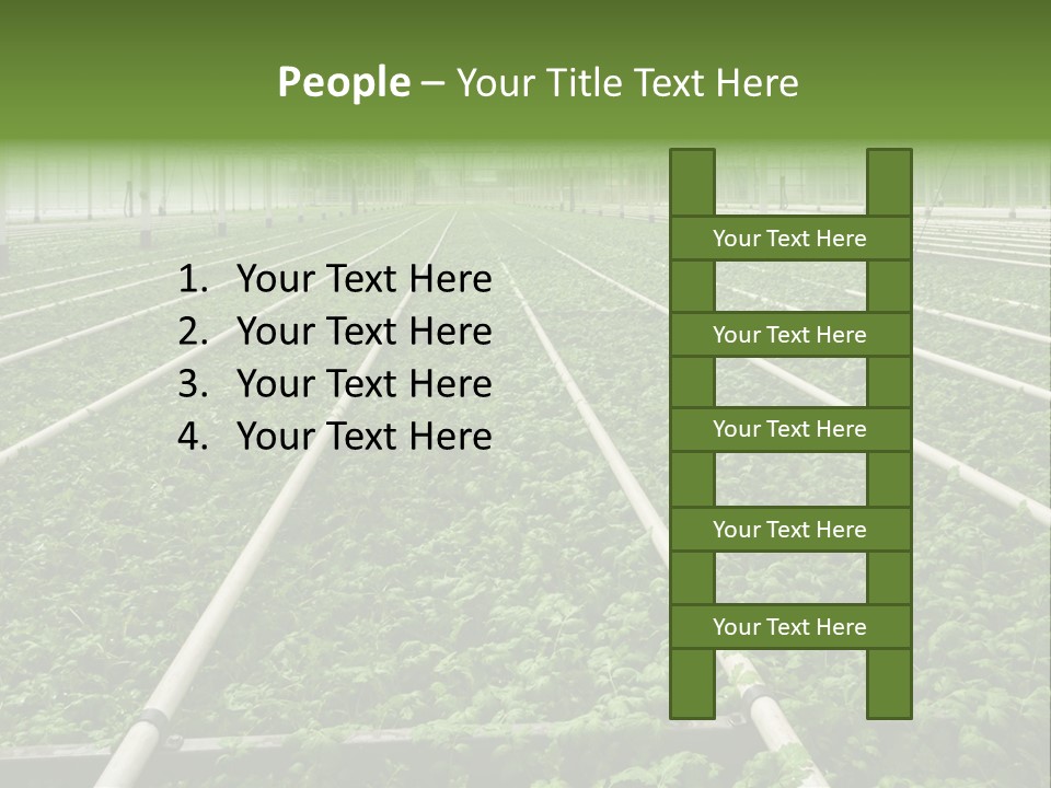 Glasshouse Plant Rows PowerPoint Template