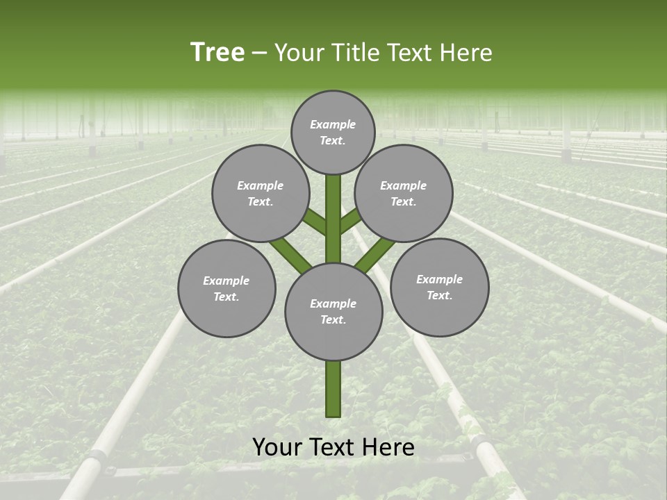 Glasshouse Plant Rows PowerPoint Template