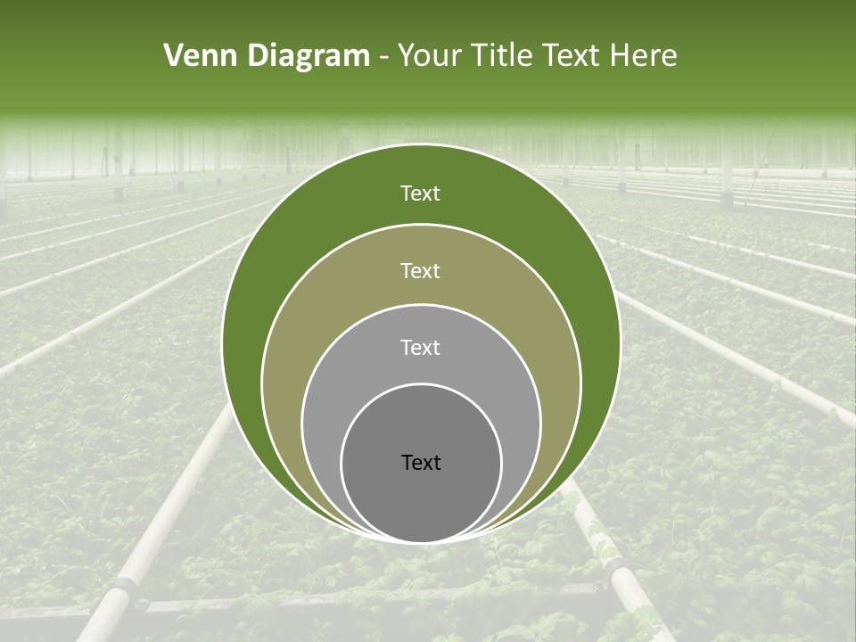 Glasshouse Plant Rows PowerPoint Template
