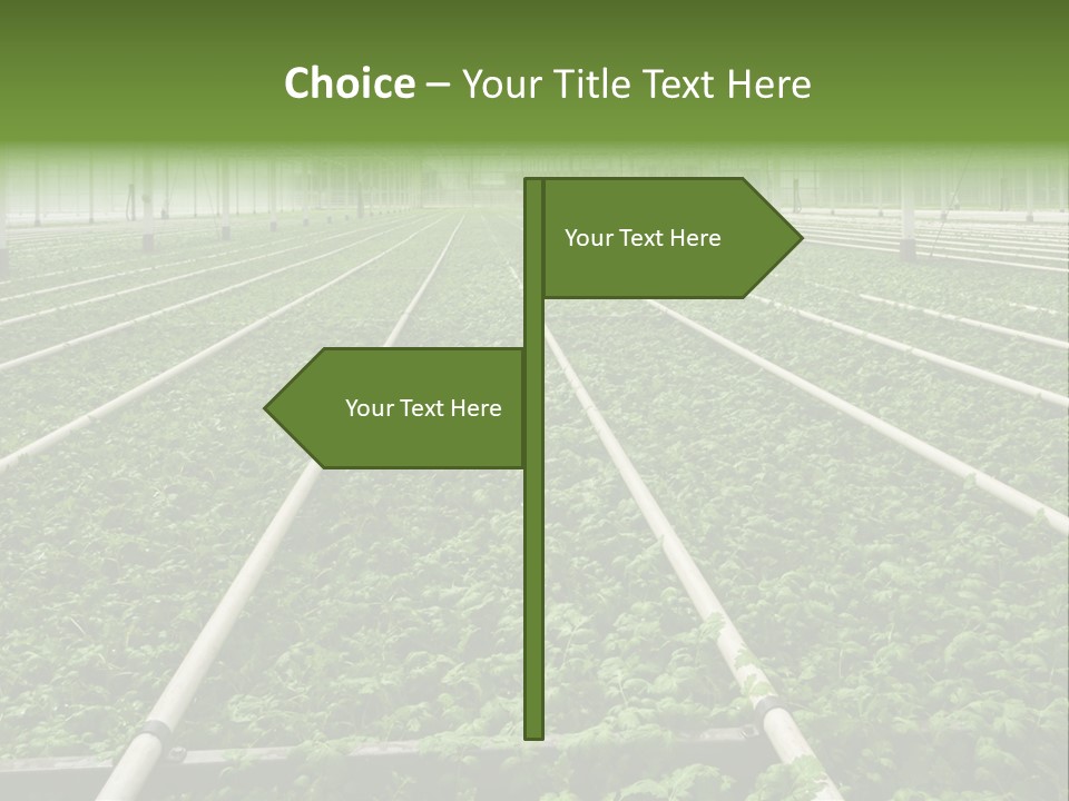 Glasshouse Plant Rows PowerPoint Template