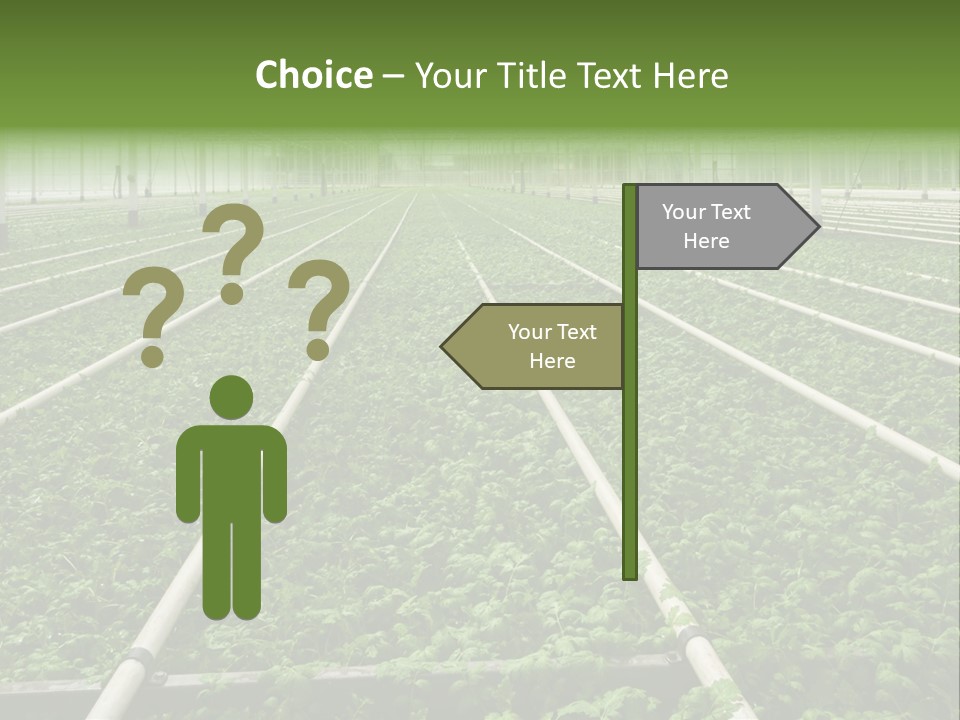 Glasshouse Plant Rows PowerPoint Template