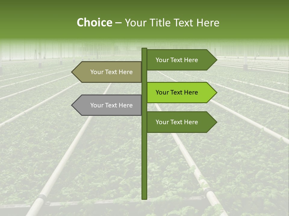 Glasshouse Plant Rows PowerPoint Template