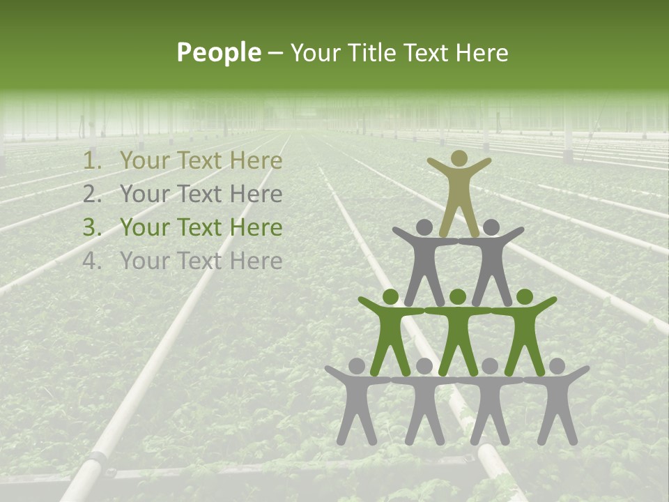 Glasshouse Plant Rows PowerPoint Template