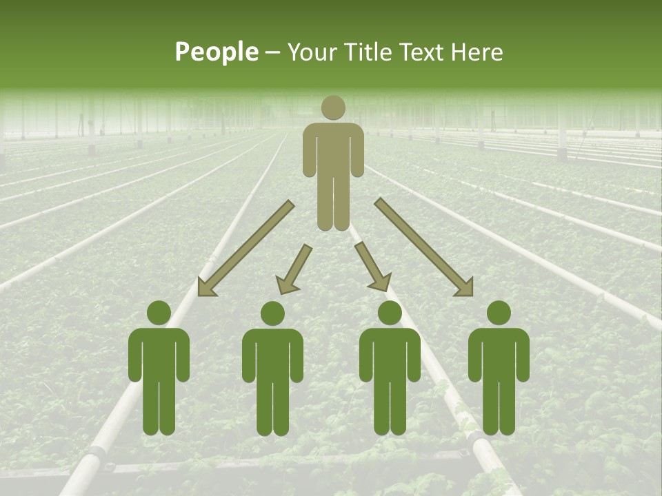 Glasshouse Plant Rows PowerPoint Template