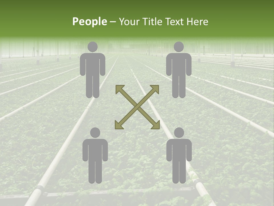 Glasshouse Plant Rows PowerPoint Template
