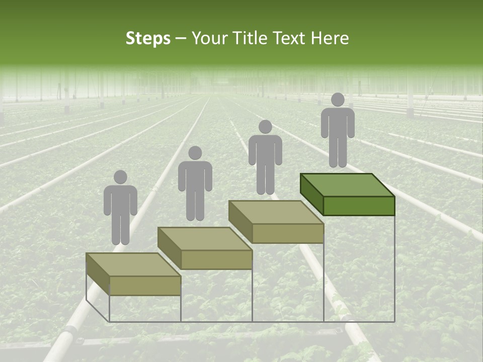 Glasshouse Plant Rows PowerPoint Template