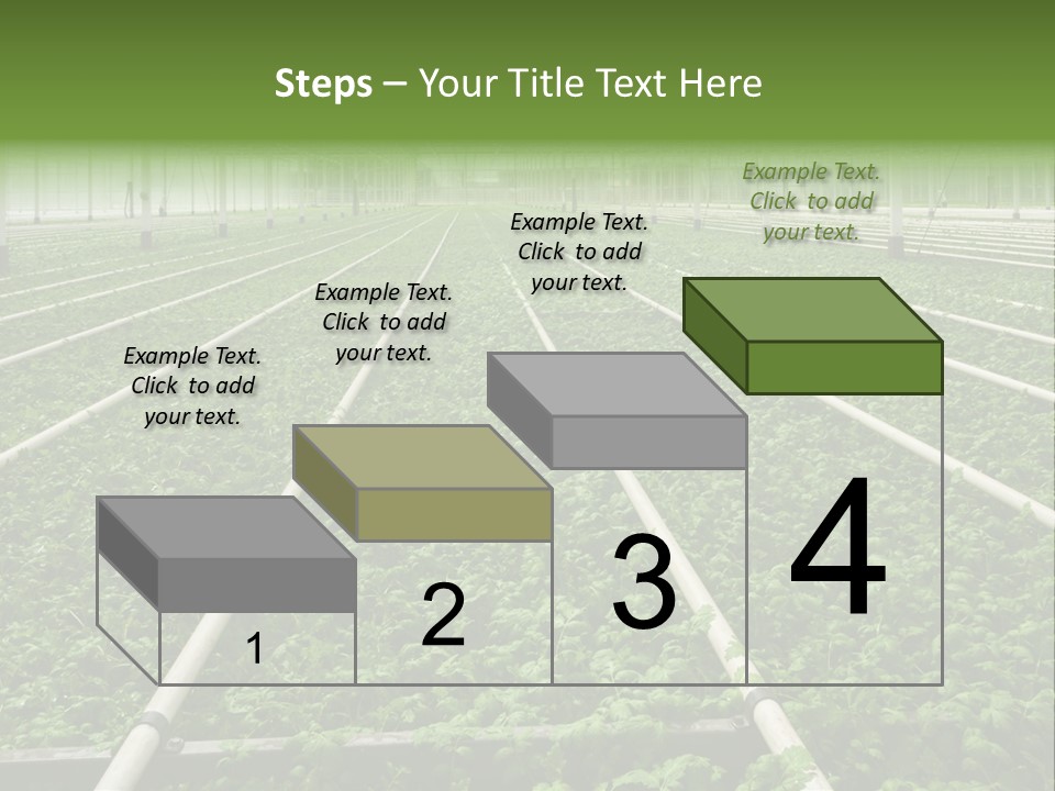 Glasshouse Plant Rows PowerPoint Template