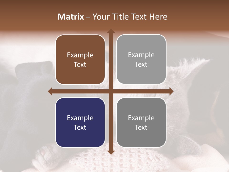 A Cat And A Dog Sleeping Together On A Blanket PowerPoint Template