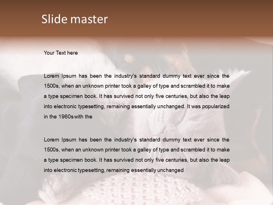 A Cat And A Dog Sleeping Together On A Blanket PowerPoint Template