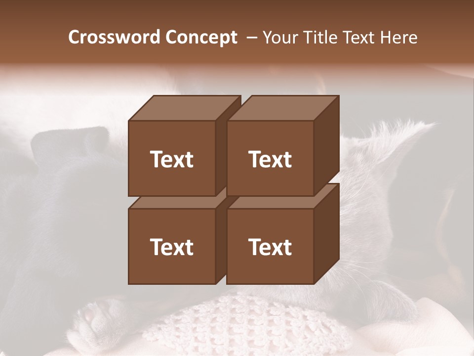 A Cat And A Dog Sleeping Together On A Blanket PowerPoint Template