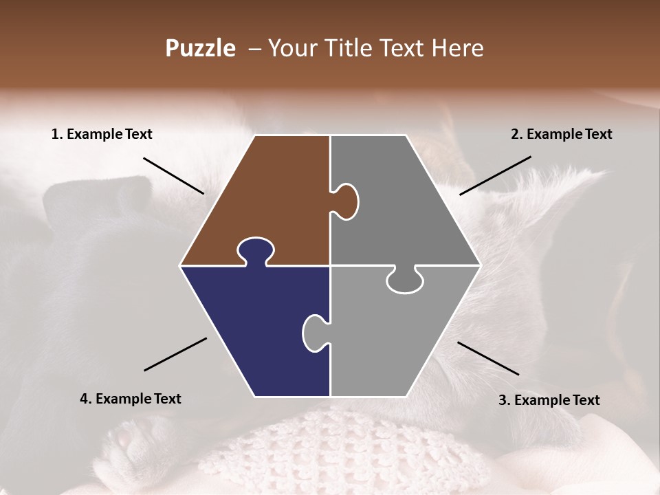 A Cat And A Dog Sleeping Together On A Blanket PowerPoint Template