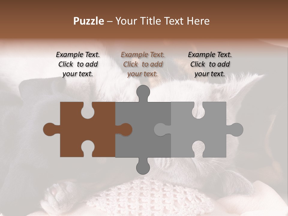 A Cat And A Dog Sleeping Together On A Blanket PowerPoint Template