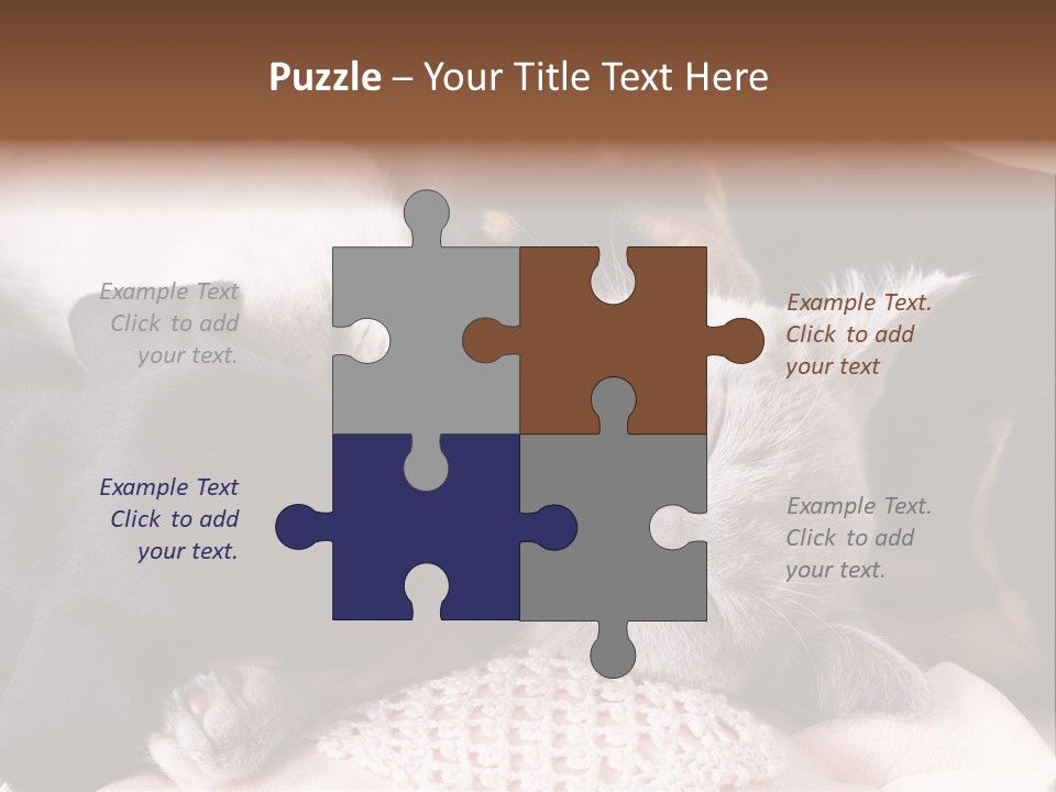 A Cat And A Dog Sleeping Together On A Blanket PowerPoint Template