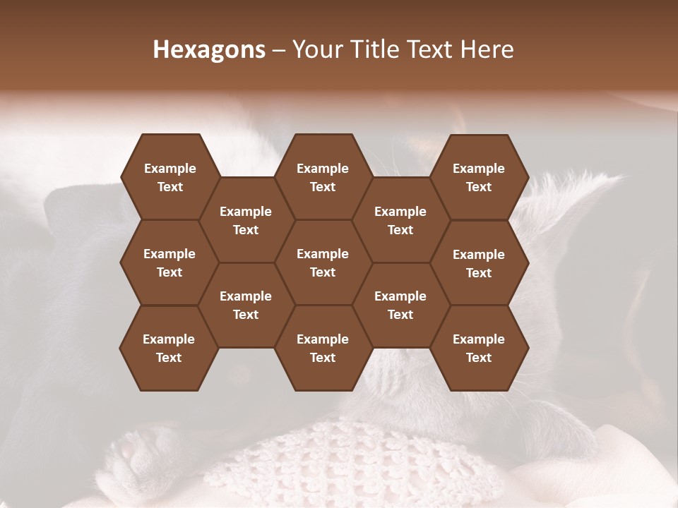 A Cat And A Dog Sleeping Together On A Blanket PowerPoint Template