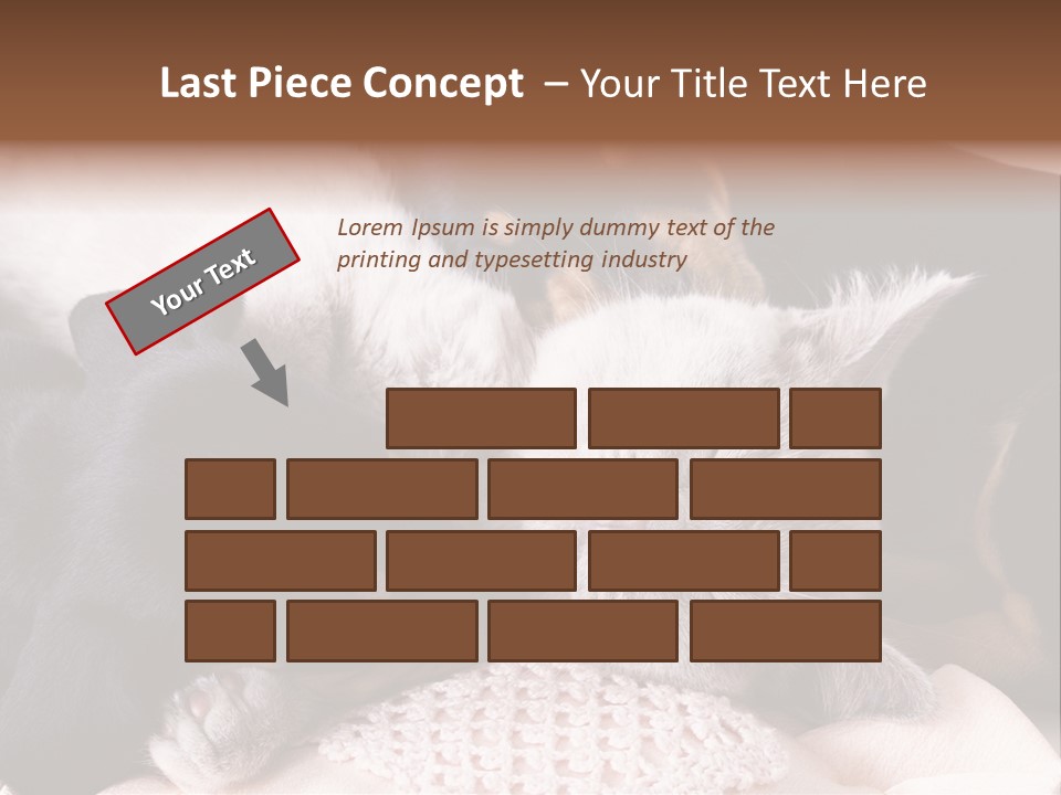 A Cat And A Dog Sleeping Together On A Blanket PowerPoint Template