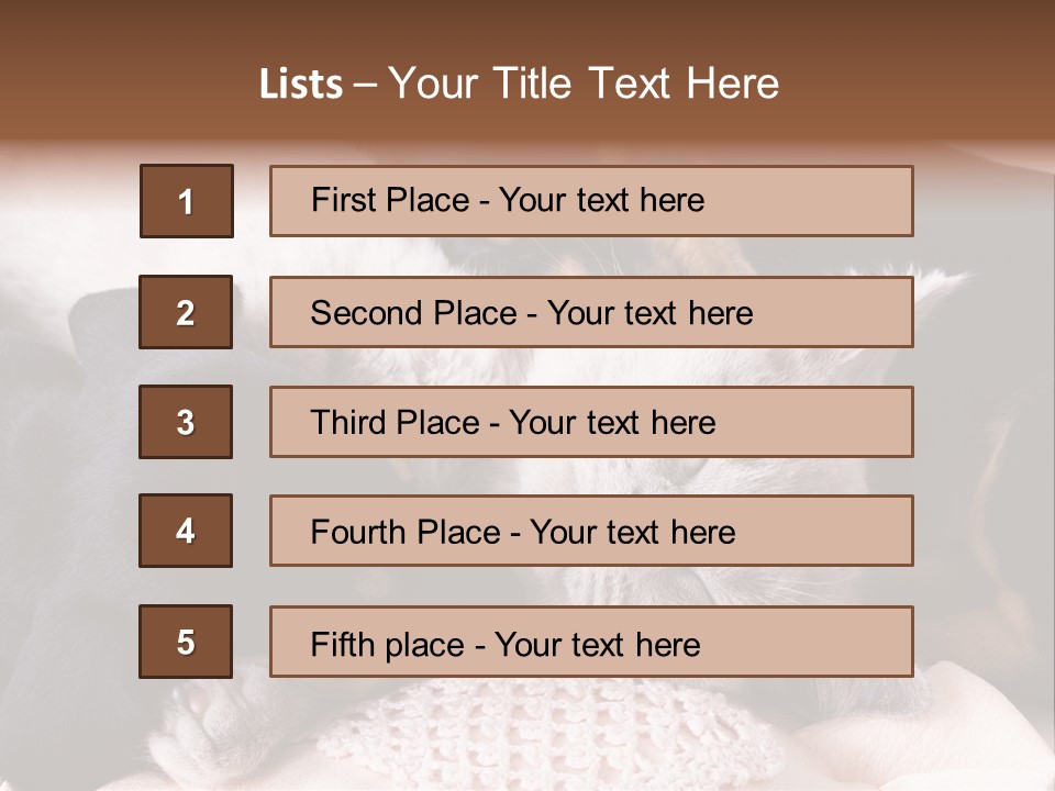 A Cat And A Dog Sleeping Together On A Blanket PowerPoint Template