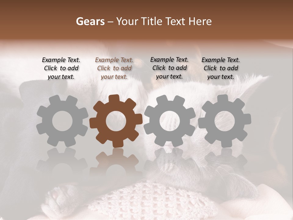 A Cat And A Dog Sleeping Together On A Blanket PowerPoint Template