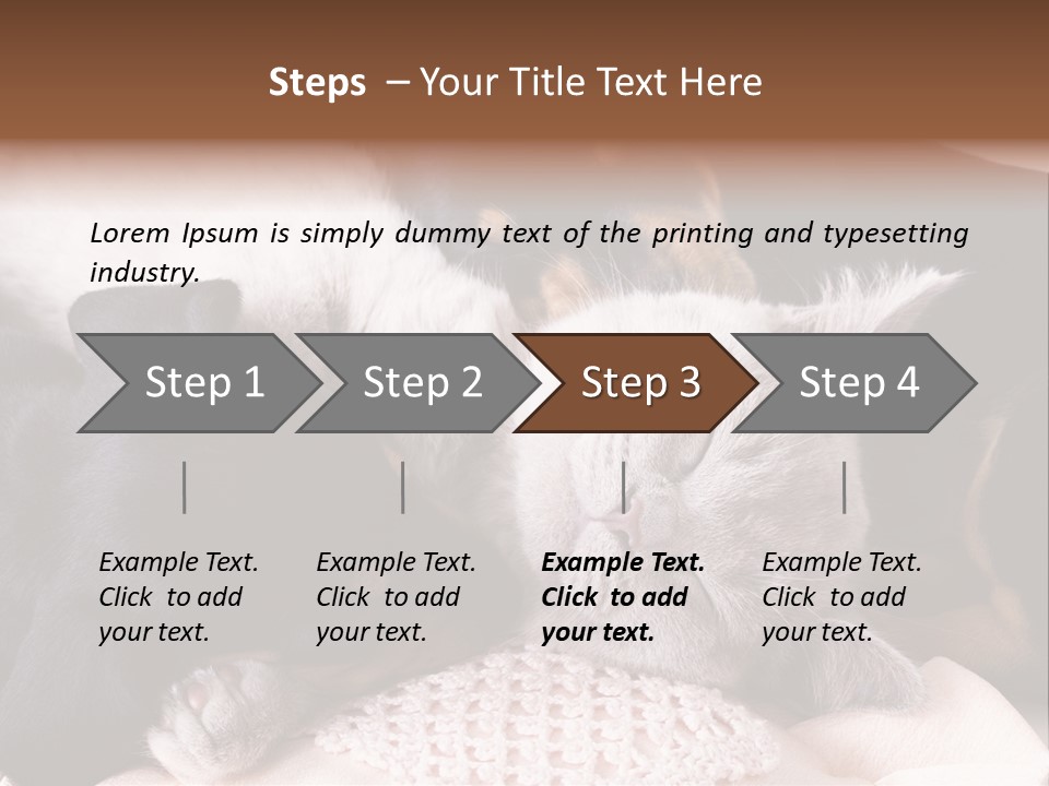 A Cat And A Dog Sleeping Together On A Blanket PowerPoint Template