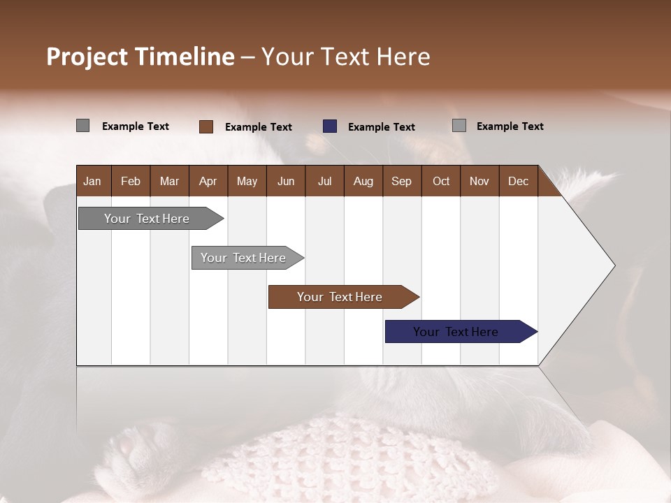 A Cat And A Dog Sleeping Together On A Blanket PowerPoint Template