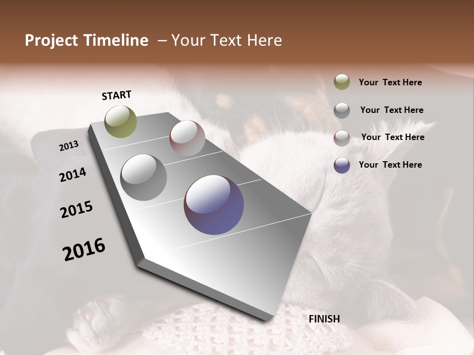 A Cat And A Dog Sleeping Together On A Blanket PowerPoint Template