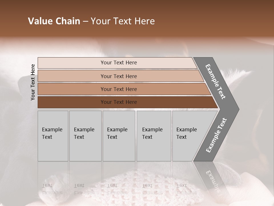 A Cat And A Dog Sleeping Together On A Blanket PowerPoint Template