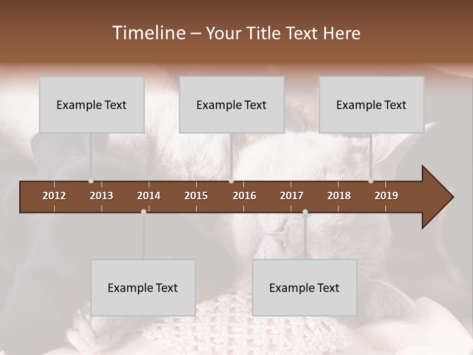 A Cat And A Dog Sleeping Together On A Blanket PowerPoint Template