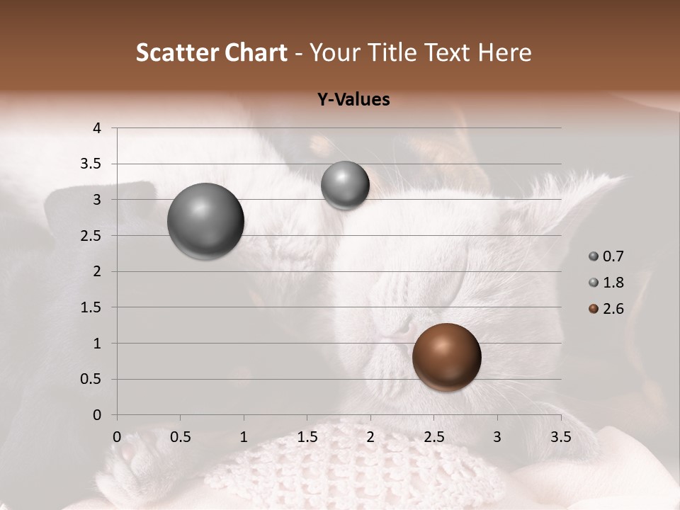 A Cat And A Dog Sleeping Together On A Blanket PowerPoint Template