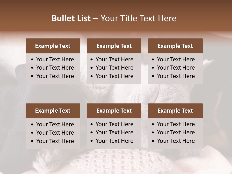 A Cat And A Dog Sleeping Together On A Blanket PowerPoint Template