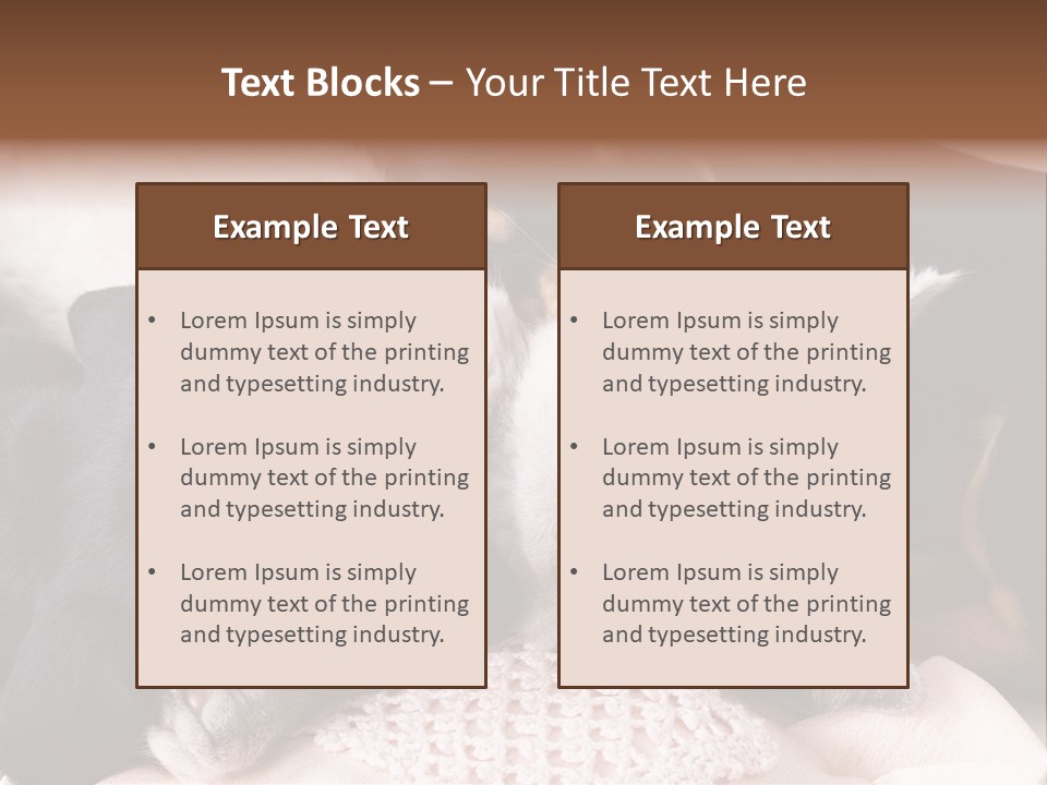 A Cat And A Dog Sleeping Together On A Blanket PowerPoint Template