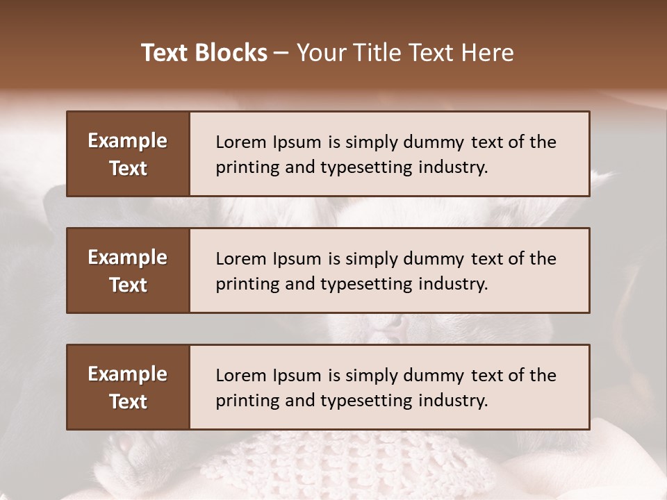 A Cat And A Dog Sleeping Together On A Blanket PowerPoint Template