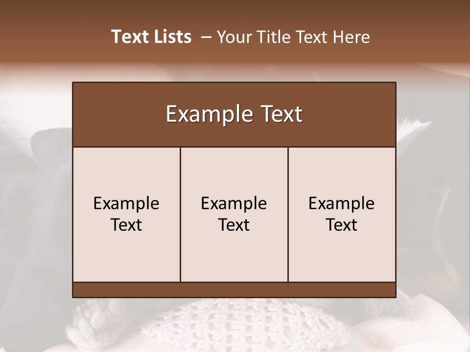 A Cat And A Dog Sleeping Together On A Blanket PowerPoint Template