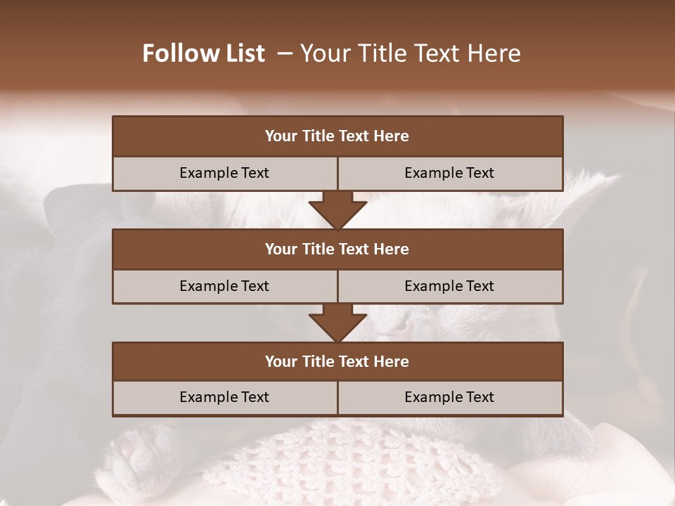 A Cat And A Dog Sleeping Together On A Blanket PowerPoint Template