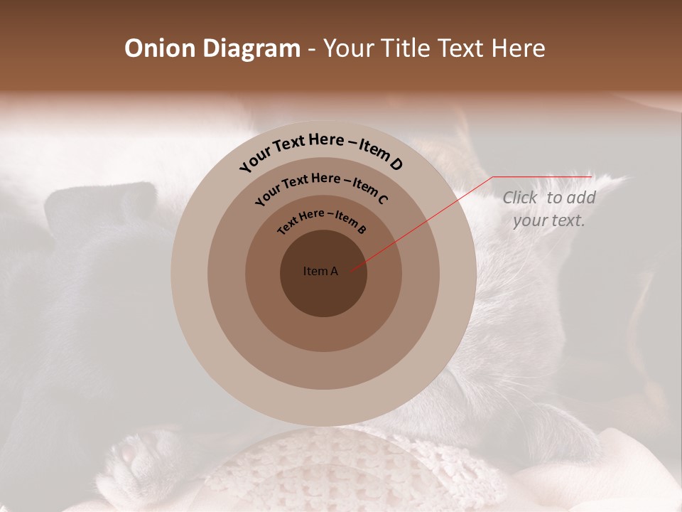 A Cat And A Dog Sleeping Together On A Blanket PowerPoint Template