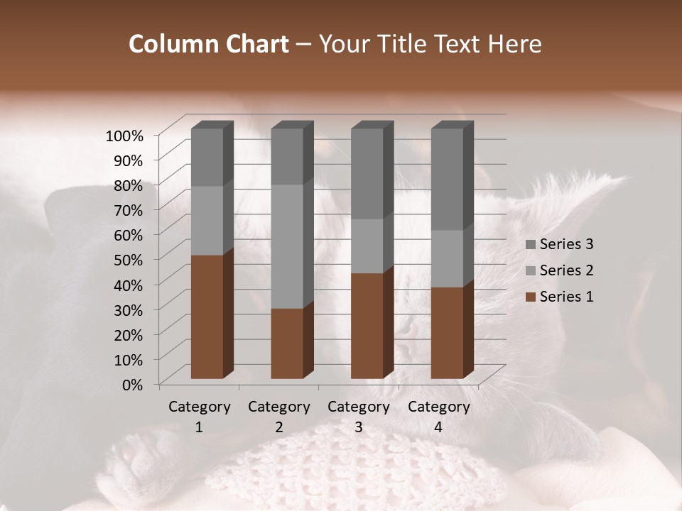 A Cat And A Dog Sleeping Together On A Blanket PowerPoint Template