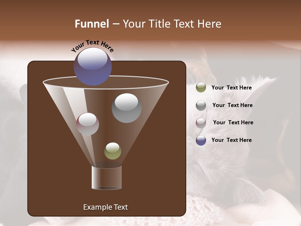 A Cat And A Dog Sleeping Together On A Blanket PowerPoint Template