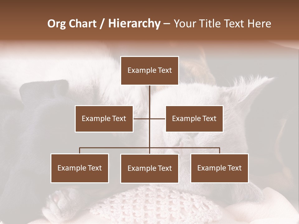 A Cat And A Dog Sleeping Together On A Blanket PowerPoint Template