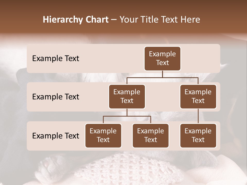 A Cat And A Dog Sleeping Together On A Blanket PowerPoint Template